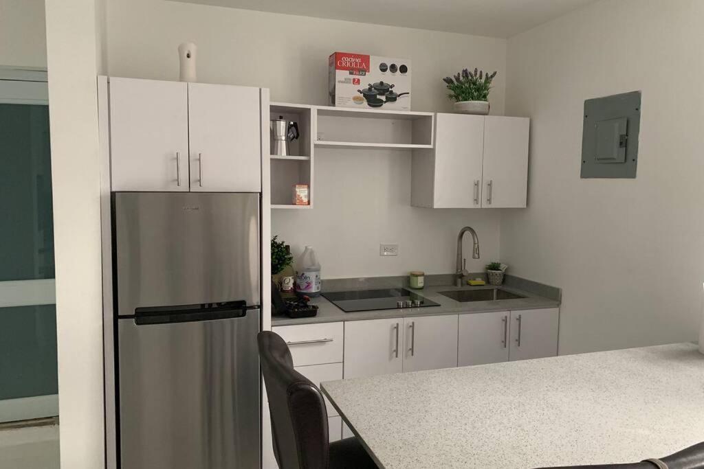 Isla Verde Oasis Ph With Private Terrace, Kingbed, Wifi, Pk * San Juan